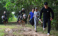 CSCĐ Kỵ binh rượt đuổi 'tội phạm' như trong phim - tung cước quật ngã đối tượng