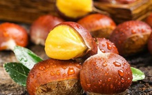 Hạt dẻ được mệnh danh là "vua của các loại trái cây khô", tốt ngang nhân sâm nhưng hãy nhớ tránh ăn cùng 3 thực phẩm