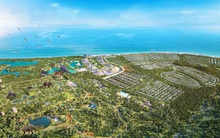 Bà Rịa - Vũng Tàu thúc tiến độ lập đồ án quy hoạch Safari Hồ Tràm có quy mô gần 630 ha