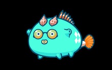 Tăng gấp đôi sau vài ngày, vốn hóa đồng AXS của game Axie Infinity do người Việt phát triển đạt 8,5 tỷ USD – lớn hơn nhiều doanh nghiệp tên tuổi