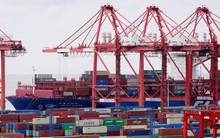 Cước vận tải biển Mỹ - Trung lao dốc