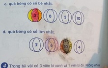 Bài toán lớp 1: "Trong túi có 3 bi xanh - 1 bi đỏ. Làm thế nào để bốc 1 lần được 1 bi xanh và 1 bi đỏ", phụ huynh chào thua nhưng đáp án siêu dễ