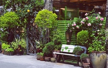 Sau nhiều năm làm việc chăm chỉ, người phụ nữ 50 tuổi mua căn nhà vườn xinh xắn sống cuộc đời an yên