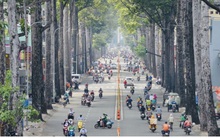 Ai được ra, vào TP.HCM trong các trường hợp cấp thiết?