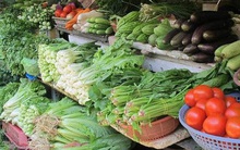 Giá rau xanh tăng chóng mặt, có loại tăng vọt lên đến 170.000 đồng/kg