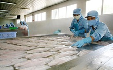 Xuất khẩu nông, lâm, thủy sản: Tự tin cán đích 44 tỷ USD