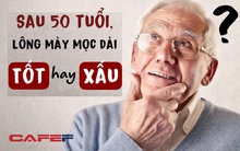 Sau 50 tuổi, lông mày nam giới mọc dài chưa hẳn là dấu hiệu trường thọ mà có thể do 4 nguyên nhân này: Số 2 cảnh báo sự lão hóa, đừng chủ quan