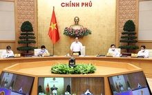 Bổ nhiệm 3 Trợ lý Thủ tướng, Phó Thủ tướng Chính phủ