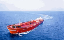 PVTrans (PVT) báo lãi 10 tháng đạt hơn 800 tỷ đồng, vượt 60% kế hoạch, giá cổ phiếu phá đỉnh 13 năm