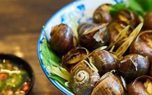 Những "đại kỵ" khi ăn ốc, biết mà tránh kẻo rước bệnh vào thân