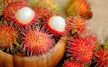 Chôm chôm, mộc nhĩ... Việt bị EU cảnh báo có chứa chất cấm