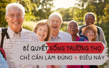 Đơn thuốc trường thọ hóa ra không khó kiếm, luyện đủ "4 vị" này không bệnh tật nào dám tìm đến quấy rầy