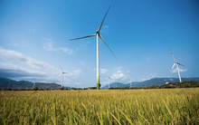 Chuyển động mới ở PTC