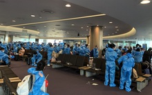 Vietravel khai thác chuyến bay thẳng cho khách hồi hương Úc, Mỹ - Việt Nam