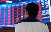 Dòng tiền tham lam lạc lối ở cổ phiếu đầu cơ: “Cứ mỗi phút lại có một gã khờ sinh ra để mua khoản đầu tư của bạn với mức giá cao hơn giá bạn đã trả”