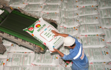 PVCB Capital bán tiếp hơn 6 triệu cổ phiếu DCM, không còn là cổ đông lớn của Đạm Cà Mau