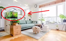 Chuyên gia phong thuỷ nhắc nhở: Nhà nhỏ mấy cũng nên sắp đặt món đồ này để hút lộc vào nhà