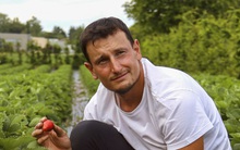 Cảm thấy mọi áp lực công việc 'đã là quá đủ', cựu banker của JPMorgan bỏ phố về quê để trồng cây kiếm sống