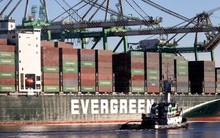 Marketwatch: Chuỗi cung ứng đứt gãy vì ... người Mỹ mua sắm quá khỏe!