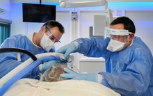 Phủ vaccine 85% dân số, quốc gia châu Âu vẫn ghi nhận kỷ lục 23.000 ca/ngày