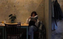 "Tư duy sinh viên" ở công sở: Tôi không giỏi nhưng có thể chăm chỉ, chịu đựng gian khổ - suy nghĩ vô ích sẽ khiến sự nghiệp của bạn đi tong