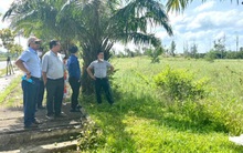 Bỏ hơn 4 tỷ mua mảnh đất, 5 ngày sau lời gần 1 tỷ, nhà đầu tư nhất quyết không bán