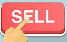 Vợ Chủ tịch DIC Corp (DIG) "chốt lời" 1,6 triệu cổ phần trong phiên thị giá tăng kịch trần, thu về cả trăm tỷ đồng