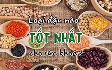 Đậu nành, đậu đỏ, đậu xanh, đậu đen, loại nào tốt nhất cho cơ thể ? Ai cũng từng ăn qua nhưng rất ít người hiểu hết giá trị dinh dưỡng, chọn nhầm có khi còn gây hại