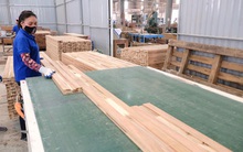 Năm nhóm giải pháp phục hồi kinh tế