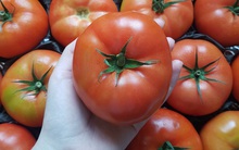 Bữa tối ăn 1 trong 5 loại thực phẩm này thì không những có giấc ngủ sâu mà cân nặng cũng có thể giảm đi phần nào