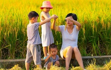 2 gia đình từ bỏ thành phố chuyển đến sống ở nông thôn chia sẻ về cuộc sống mới: Một đi là không hề muốn quay lại!