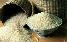 Đi mua gạo cần tuyệt đối tránh 3 loại này vì chúng 100% kém dinh dưỡng, còn chứa độc tố gây xơ gan, ung thư gan rất nguy hiểm