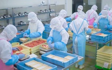 Nhật Bản tiếp nhận lại lao động Việt Nam từ 8/11