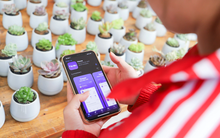 Công nghệ “len lỏi” trong quản lý, vận hành tòa nhà, ai hưởng lợi?