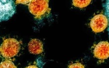 "Siêu biến thể Covid tồi tệ nhất" Omicron đã lan ra ít nhất 20 nước, có mặt ở mọi châu lục: Thế giới hoang mang về một thời kỳ sóng gió phía trước