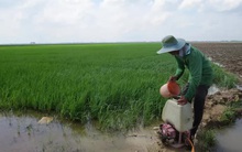 Nông dân chật vật vì giá vật tư tăng