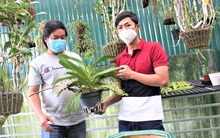 Biến đam mê thành vườn lan tiền tỉ