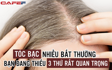Tóc bạc nhiều đến bất thường, đừng nghĩ mình đang già đi, rất có thể bạn thiếu hụt 3 loại dinh dưỡng quan trọng