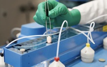 Thuốc Covid-19 của Pfizer "trị được biến thể Omicron"