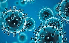 Nhà khoa học cảnh báo xuất hiện siêu biến thể mới từ sự kết hợp Omicron và Delta