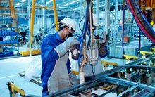 Từ 1/2/2022, lao động thời vụ không được làm thêm quá 12 giờ/ngày