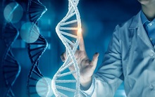 VinBigdata công bố hoàn tất Giải mã 1000 hệ gene người Việt