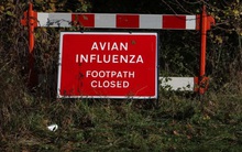 Chuyên gia Nga cảnh báo đại dịch nguy hiểm hơn Covid, tỷ lệ tử vong 53%, chưa có vaccine