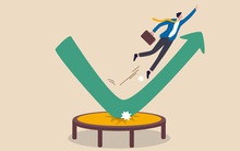 Lại là "liều dopping" mang tên chuyển nhượng đất, Becamex "bốc đầu" tăng 40% chỉ sau 9 phiên giao dịch