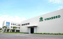 Vinaseed (NSC) sắp trả cổ tức bằng tiền với tỷ lệ 20%