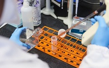 Nghiên cứu ở Anh: 2 mũi vắc-xin Covid-19 không chống nổi Omicron