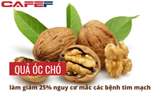 Nghiên cứu 20 năm của ĐH Harvard: Ăn quả óc chó giúp giảm 25% nguy cơ tử vong do bệnh tim mạch, nhưng tuyệt đối không được ăn theo 3 cách sau kẻo hại thân