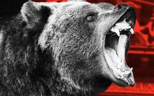 Thị trường liên tiếp lập đỉnh mới, hàng loạt cổ phiếu "tỷ đô" vẫn ngược dòng giảm trong tháng 11