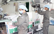 Tập đoàn Hóa chất (Vinachem) ước lãi 11 tháng đạt 1.327 tỷ đồng, có doanh nghiệp thành viên đã vượt 7 lần kế hoạch