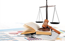 Vi phạm công bố thông tin hàng loạt BCTC, Thủy sản Cadovimex bị phạt 70 triệu đồng